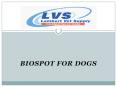 Biospot for Dogs (1) PowerPoint PPT Presentation