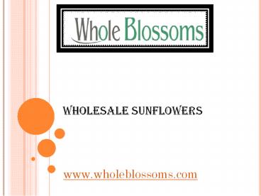 Wholesale Sunflowers - www.wholeblossoms.com (2)