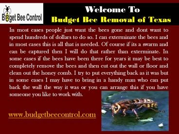Bee removal Texas| Budget Bee Control