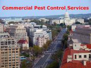 Get the Best Pest Control Services