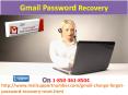 Butcher all your Gmail Password Recovery issues 1-850-361-8504? PowerPoint PPT Presentation