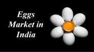 Eggs Market in India