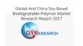 Global And China Soy-Based Biodegradable Polymer Market Research Report 2017 PowerPoint PPT Presentation