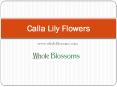 Calla Lily Flowers - www.wholeblossoms.com PowerPoint PPT Presentation