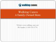 All about Walking Canes (1)