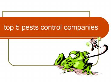 top 5 pests control companies