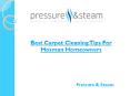 Best Carpet Cleaning Tips For Mosman Homeowners PowerPoint PPT Presentation