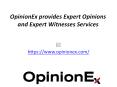 OpinionEx-provides-expert-opinions-and-expert-witnesses-services PowerPoint PPT Presentation