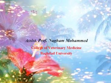 staining of Bactera cells