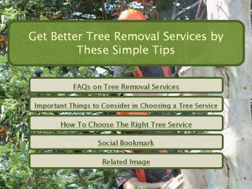 Get Better Tree Removal Services by These Simple Tips