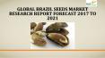 Global brazil seeds market research report forecast 2017 to 2021 PowerPoint PPT Presentation