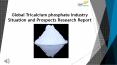 Global Tricalcium phosphate Industry Situation and Prospects Research report PowerPoint PPT Presentation