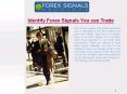 Identify Forex Signals You can Trade PowerPoint PPT Presentation