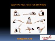 Yoga Poses for Beginners