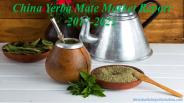 China Yerba Mate Market Report 2017-2022