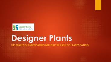 Artificial hedges, vertical garden & fake plants in Australia