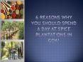 6 Reasons Why You Should Spend A Day At Spice Plantations In Goa! PowerPoint PPT Presentation