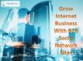 Grow Internet Business With B2B Social Network Sites PowerPoint PPT Presentation