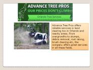 Tree stump removal orlando - Advance Tree Pros