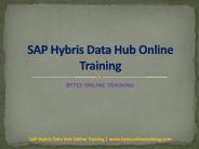 SAP Hybris Data Hub Online Training