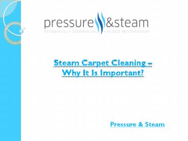 Steam Carpet Cleaning – Why It Is Important?