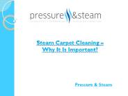 Steam Carpet Cleaning – Why It Is Important?