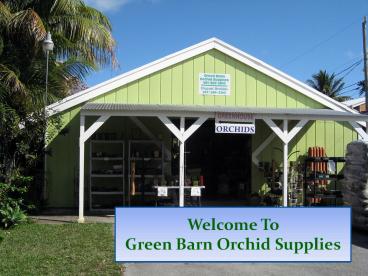 Buy Orchid Mixes For Your Orchids - Green Barn Orchid Supplies