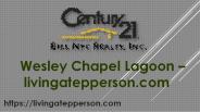 Wesley Chapel Lagoon - livingatepperson.com (2)
