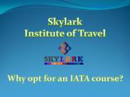 Why opt for an IATA course?