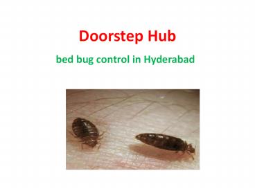bed bug cotrol in secunderabad 1 july 17
