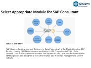 Select Appropriate Module for SAP Consultant – SAPtraininginstitutedelhi