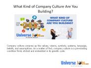 What Kind of Company Culture Are You Building?