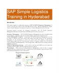 SAP Simple Logistics Training in Hyderabad