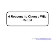 6 Reasons to Choose Wild Rabbit