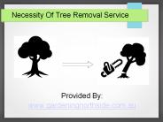 Necessity of tree removing service