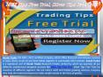 MCX Tips Free Trial, Silver Tips Free Trial PowerPoint PPT Presentation