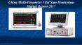 China Multi-Parameter Vital Sign Monitoring Market Report-2017 PowerPoint PPT Presentation
