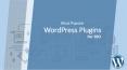 Best WordPress SEO Plugins For Your Website PowerPoint PPT Presentation