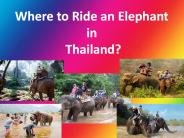 Where to Ride an Elephant in Thailand?