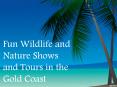 Fun Wildlife and Nature Shows and Tours in the Gold Coast PowerPoint PPT Presentation
