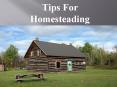 Homestead Tips PowerPoint PPT Presentation