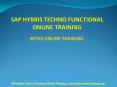 Excellent SAP Hybris Techno Functional Online Training from certified Trainers PowerPoint PPT Presentation