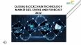 24 Market Reports: Global Blockchain Technology Market Size, Status and Forecast 2022 PowerPoint PPT Presentation