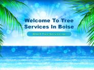 Tree Trimming and Pruning Services In Boise,Idaho
