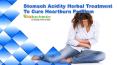 Stomach Acidity Herbal Treatment To Cure Heartburn Problem