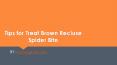 Tips for Treat Brown Recluse Spider Bite PowerPoint PPT Presentation