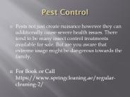 pest control in dubai