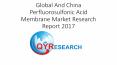 Global And China Perfluorosulfonic Acid Membrane Market Research Report 2017 PowerPoint PPT Presentation