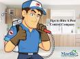 Tips to Choose A Pest Control Company PowerPoint PPT Presentation