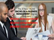 Online management degree programmes (MIBM GLOBAL)